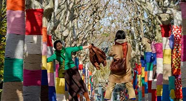 大樹披“針織外衣”